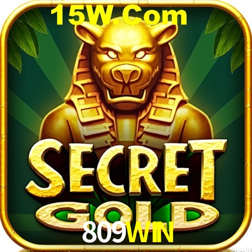 Security Systems 809WIN
