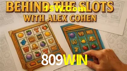 Sistemas de Segurança 809WIN